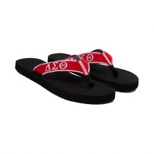 delta sigma theta bling slides