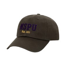 Omega Psi Phi  MSPU Principles Dad Cap