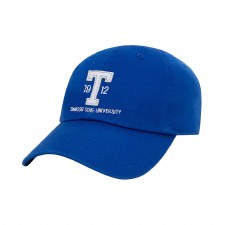 Tennessee State University Old School Dad Cap