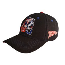 Tennessee State University Painted Tiger Cap