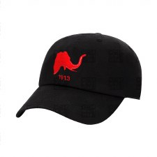 Delta Sigma Theta  "High Goals" & Founding Year Cap