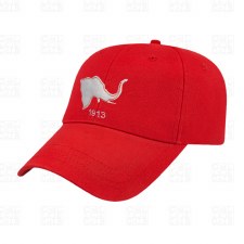 Delta Sigma Theta  "High Goals" & Founding Year Cap