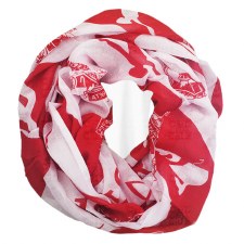 Delta Sigma Theta Infinity Scarf