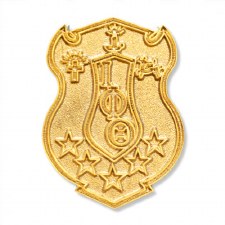 Iota Phi Theta Sandblast Shield Lapel Pin