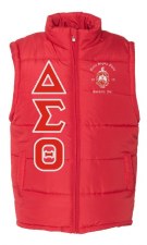 Delta Sigma Theta Bubble Vest