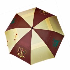 Iota Phi Theta Large Vented Umbrella