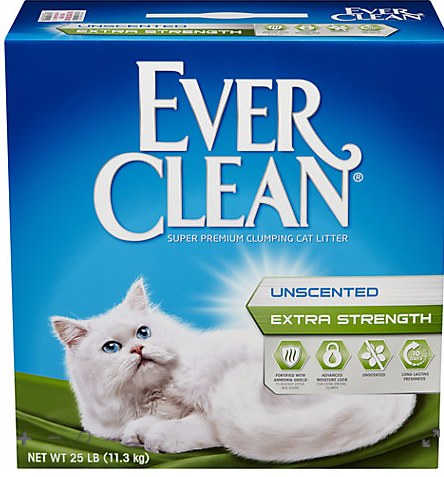 everclean litter
