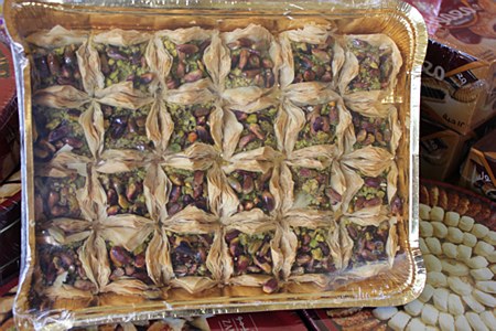 Shatila Birds Nest