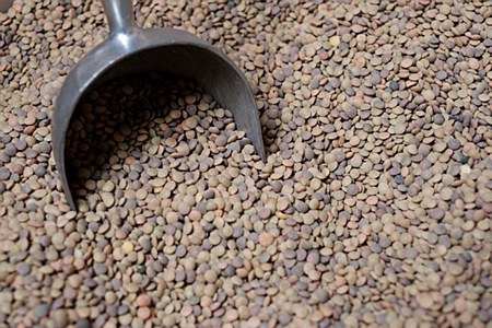 Small Green Lentils 1 lb