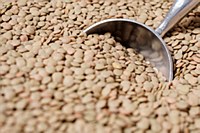 Large Green Lentils 1 lb