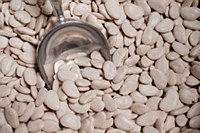 Large Lima Beans 1 lb