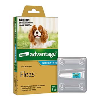 Advantage Aqua Flea Treatment for Dogs 4kg to 10kg