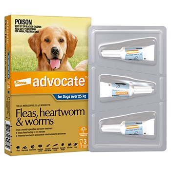 Advocate for Dogs 25kg and larger (3 Pack)