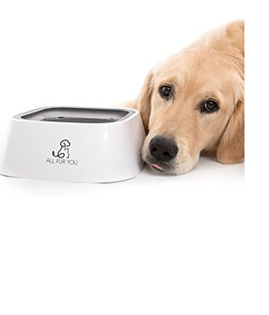 All Fur You Anti Splash Water Bowl Grey