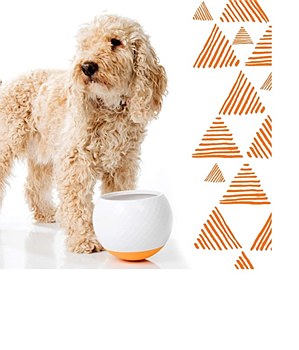 All Fur You Wobbler Slow Feeder Bowl Orange