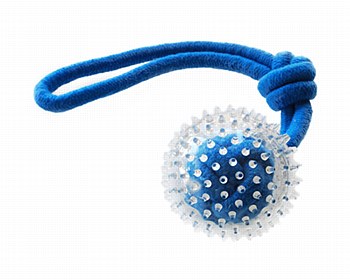 Ruff Play Plastic Spikey Ball with Tug Dog Toy