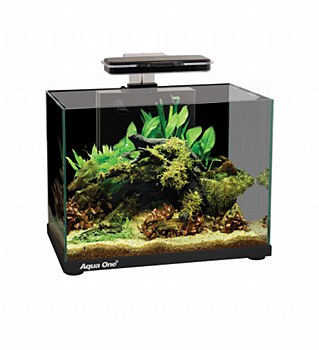 Aqua One Focus 25 Litre Fish Tank
