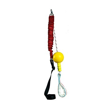Aussie Dog Home Alone Small Dog Toy
