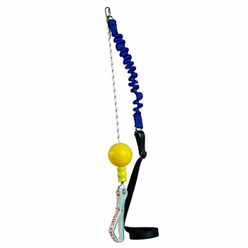 Aussie Dog Home Alone Mini Dog Toy