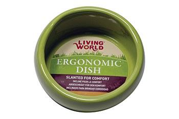Living World Ergonomic Dish for Small Pets Green Small