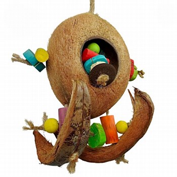 Nino's Java Coco Surf Bird Toy