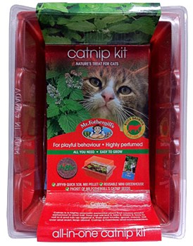 Mr Fothergill's Seed Raiser Catnip Kit