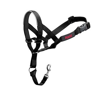 Company of Animals Halti Headcollar Black Size 3