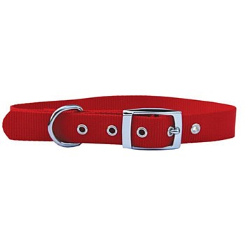 Montys Nylon Dog Collar 1.5cm x 45cm Red