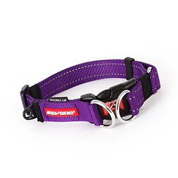 EzyDog Dog Collar Double Up Medium Purple