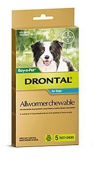 Drontal All Wormer for Medium Dogs (5 Pack)