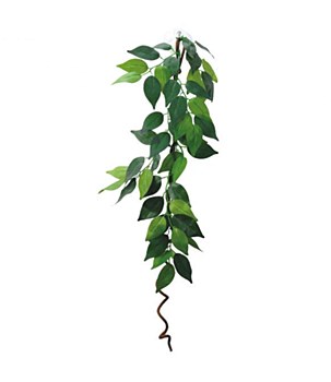 Eco Tech Replica Plant Hanging Ficus with Vine