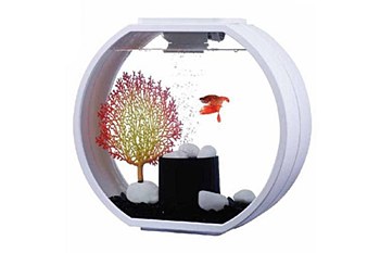 Blue Planet Deco O White 10 Litre Mini Fish Tank - Mega Pet Warehouse