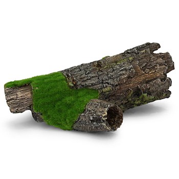Kazoo Fish Tank Ornament Log with Textured Moss Medium