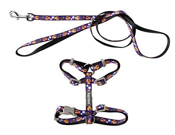 FuzzYard Caturday Night Fever Cat Walking Set