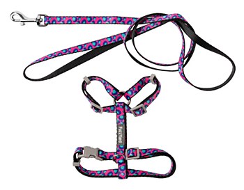 FuzzYard Wild One Bubblegum Cat Walking Set