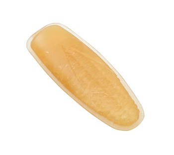 Ferplast GoodBite Tiny &amp; Natural Corn Cob Small Pet Toy