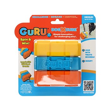 Guru Dog-X-Cube 10.2cm Dog Toy