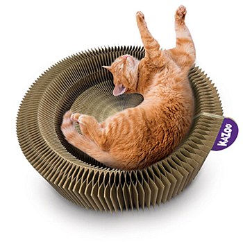 Kazoo Kitty Accordion Cardboard Bed With Ball Cat Toy