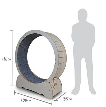 Kazoo Workout Wheel Cat Toy