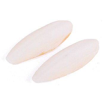 Kazoo Natural Cuttlebone Small (2 Pack)
