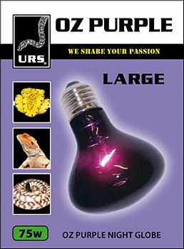 URS OZ Purple Night Globe Large 75W