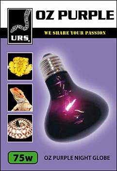 URS OZ Purple Night Globe Small 75W
