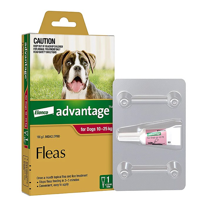 Easy flea shop treatment for dogs