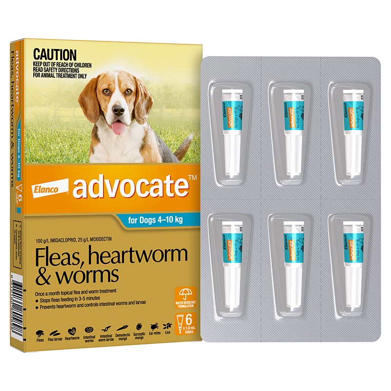 Advocate for Dogs 4 - 10 kg (6 Pack) - Mega Pet Warehouse