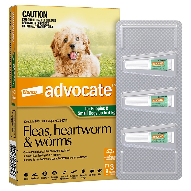 Advocate for cats over 4kg fashion 3 pack