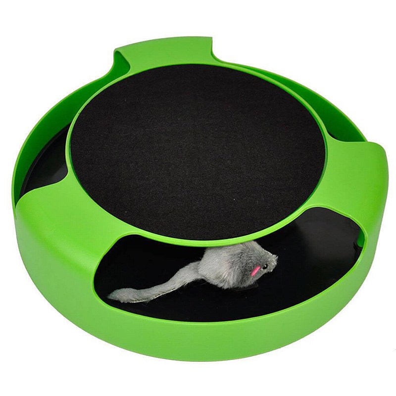 catch the mouse cat toy