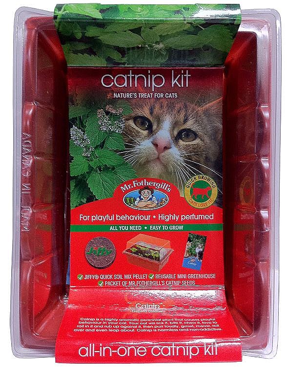 Mr Fothergill's Seed Raiser Catnip Kit - Mega Pet Warehouse