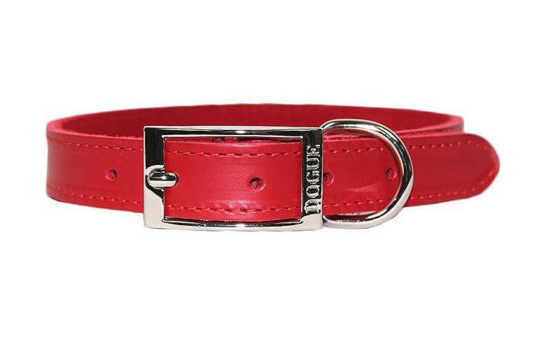 red dog collar