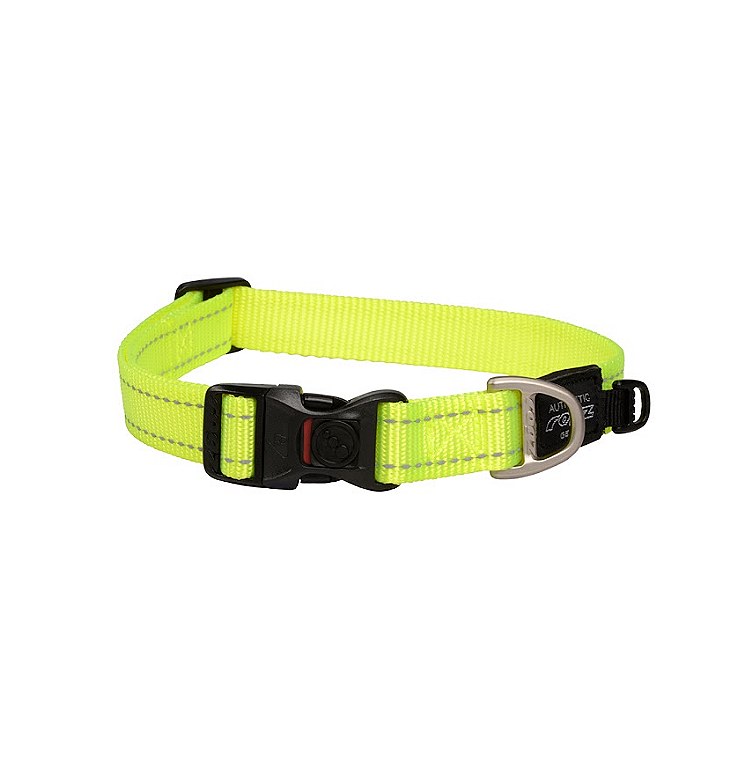 Dayglo sales dog collars