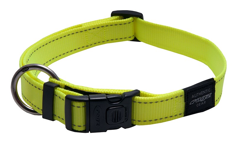 day glow dog collars